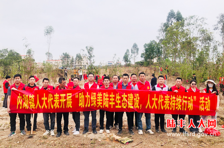 内湖镇内湖村3月植树活动1