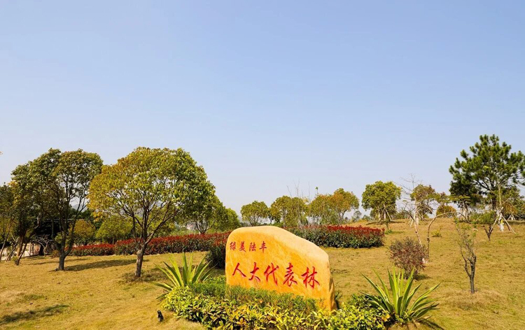 3【凤凰新闻】汕尾陆丰：激发代表履职活力，多维发力答好高质量发展的时代命题