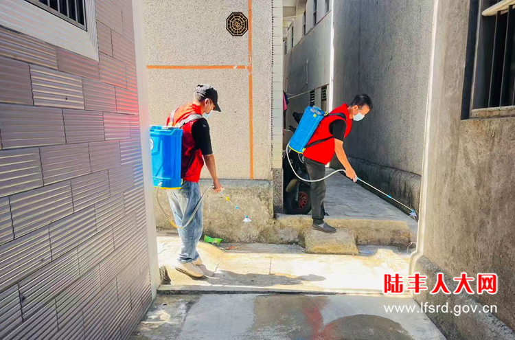 甲东2025八月活动2