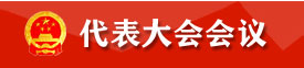 代表大会会议