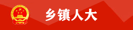 乡镇人大